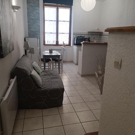 Grand Studio Meuble Chez Coco Romans-sur-Isère Eksteriør billede