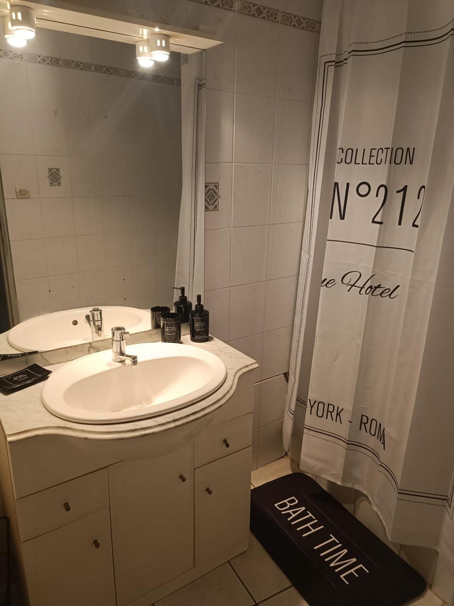 Grand Studio Meuble Chez Coco Romans-sur-Isère Eksteriør billede