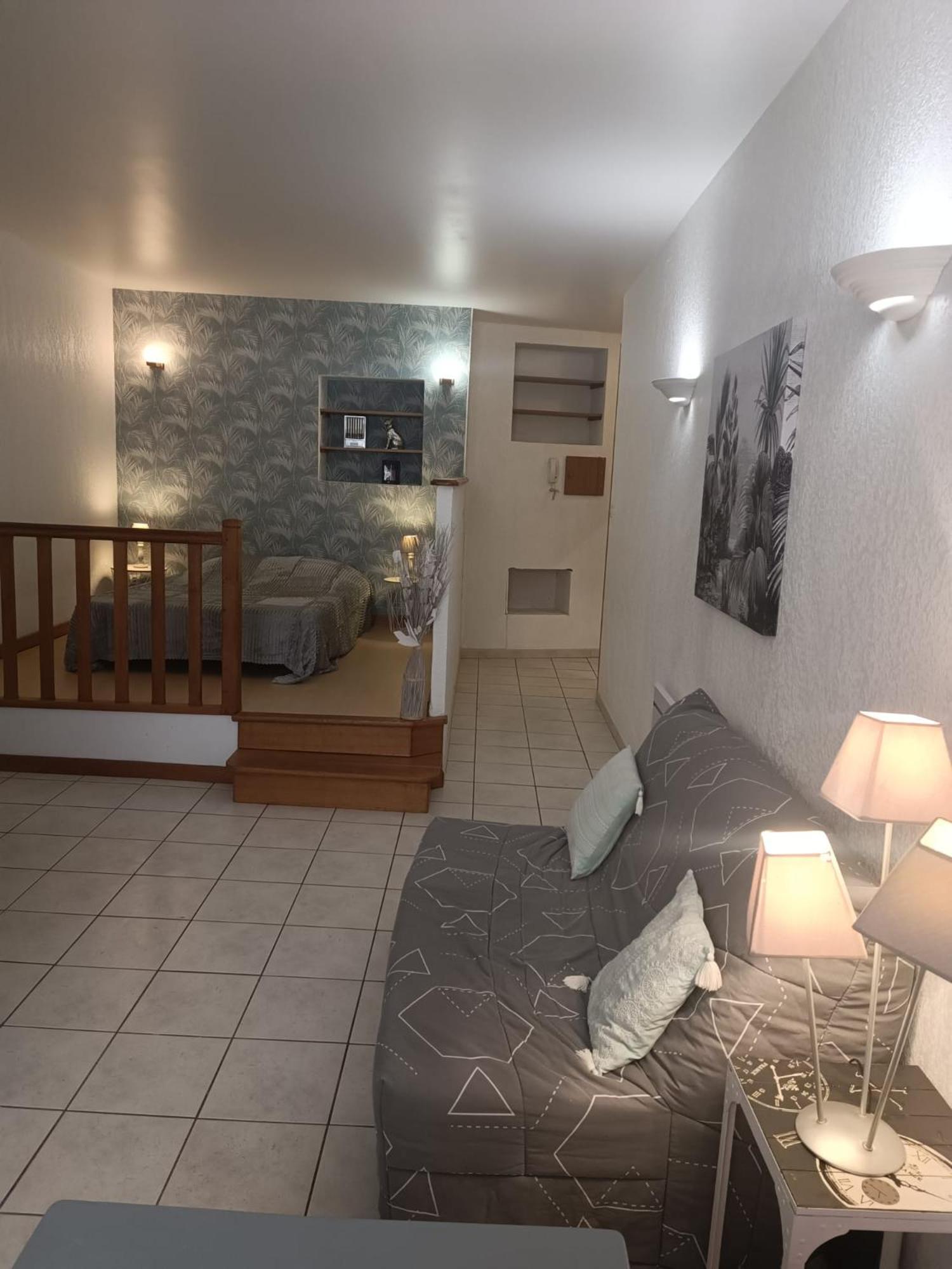 Grand Studio Meuble Chez Coco Romans-sur-Isère Eksteriør billede